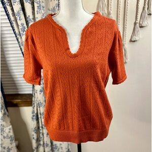 Brick Red Shirt Sleeve Sweater